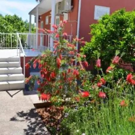 Bleus Apartament
